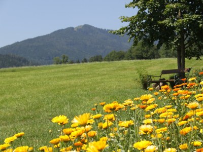 Apartment Wohnung 55 m² (ab 2 Nächte) - Outdoor photo 15