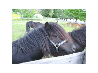 Apartment Wohnung 55 m² (ab 2 Nächte) - Outdoor photo 18