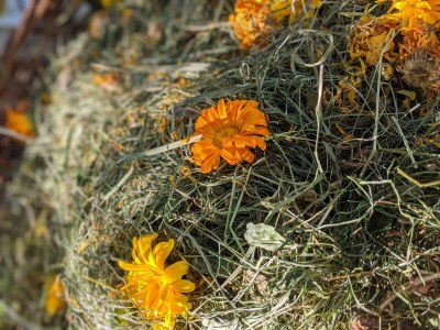 Apartment Wohnung 55 m² (ab 2 Nächte) - Outdoor photo 25