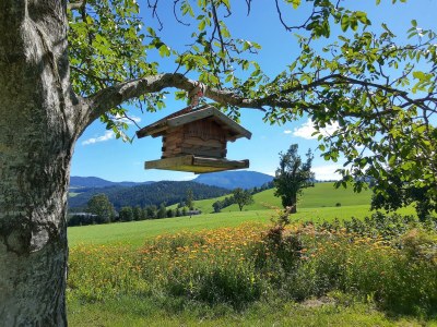 Apartment Wohnung 55 m² (ab 2 Nächte) - Outdoor photo 29
