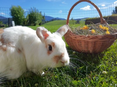 Apartment Wohnung 55 m² (ab 2 Nächte) - Outdoor photo 34
