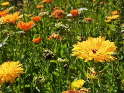 Apartment Wohnung 55 m² (ab 2 Nächte) - Outdoor photo 38