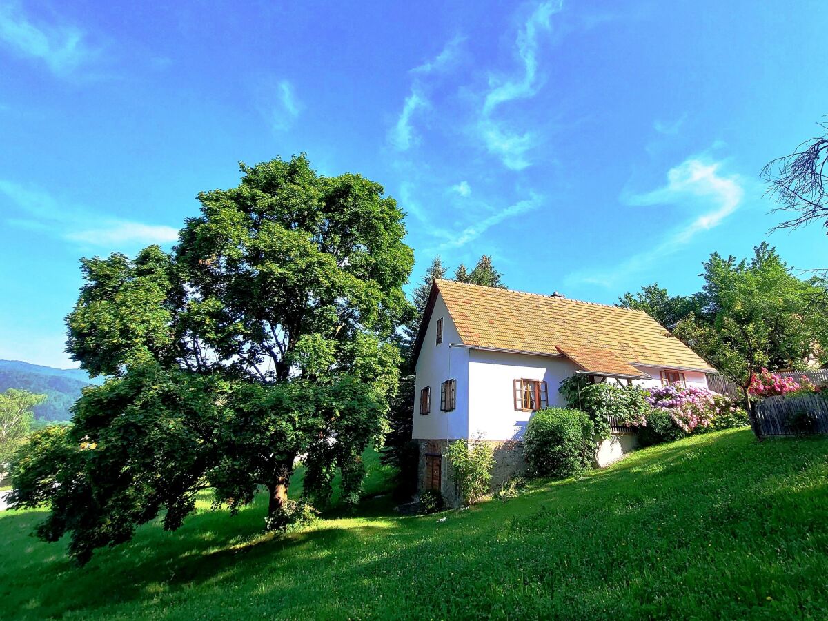 Apartment Das Moarhofstöckl | Landromantik-Kellerstöckl