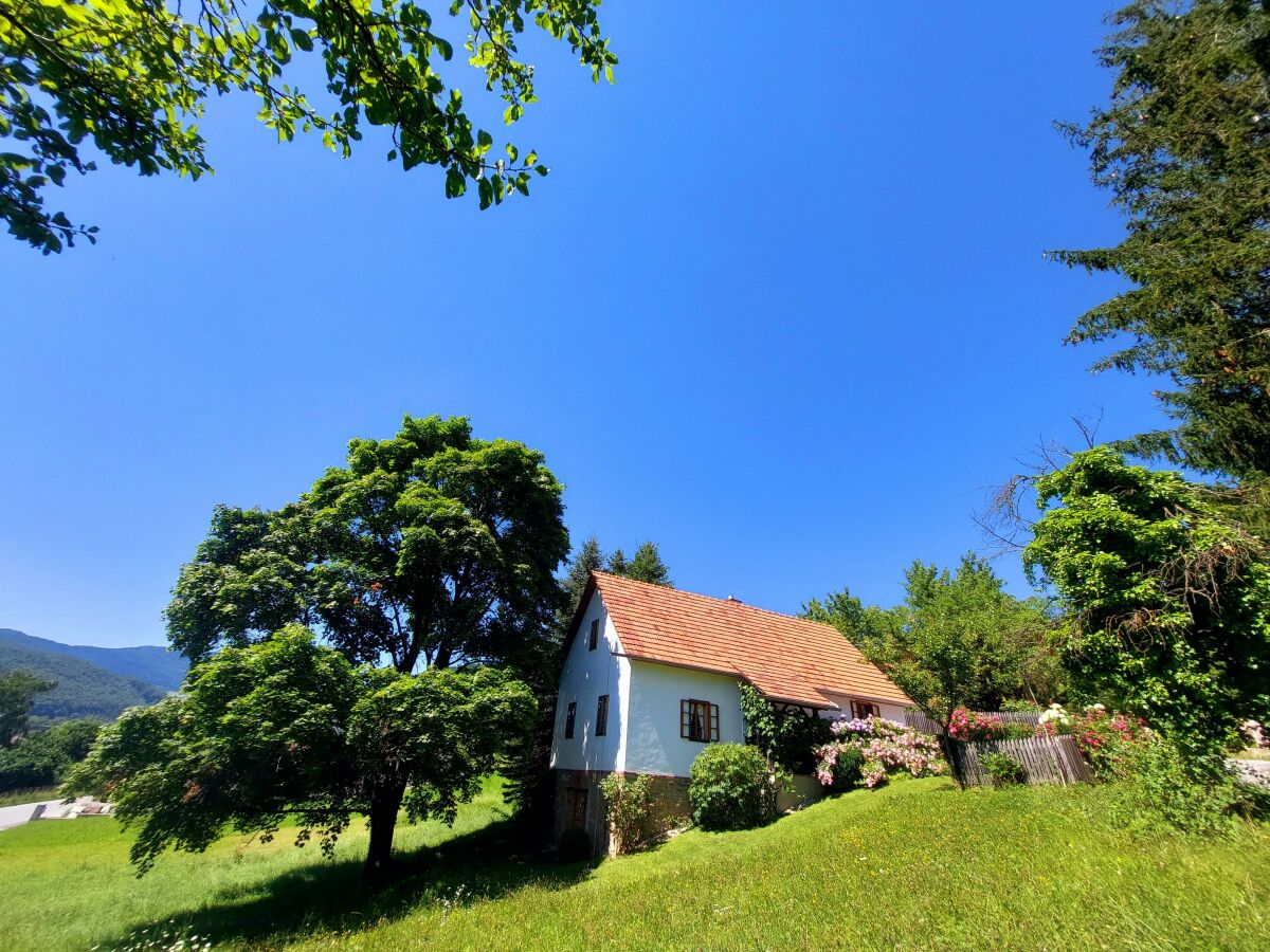 Apartment Das Moarhofstöckl | Landromantik-Kellerstöckl - Outdoor photo 2
