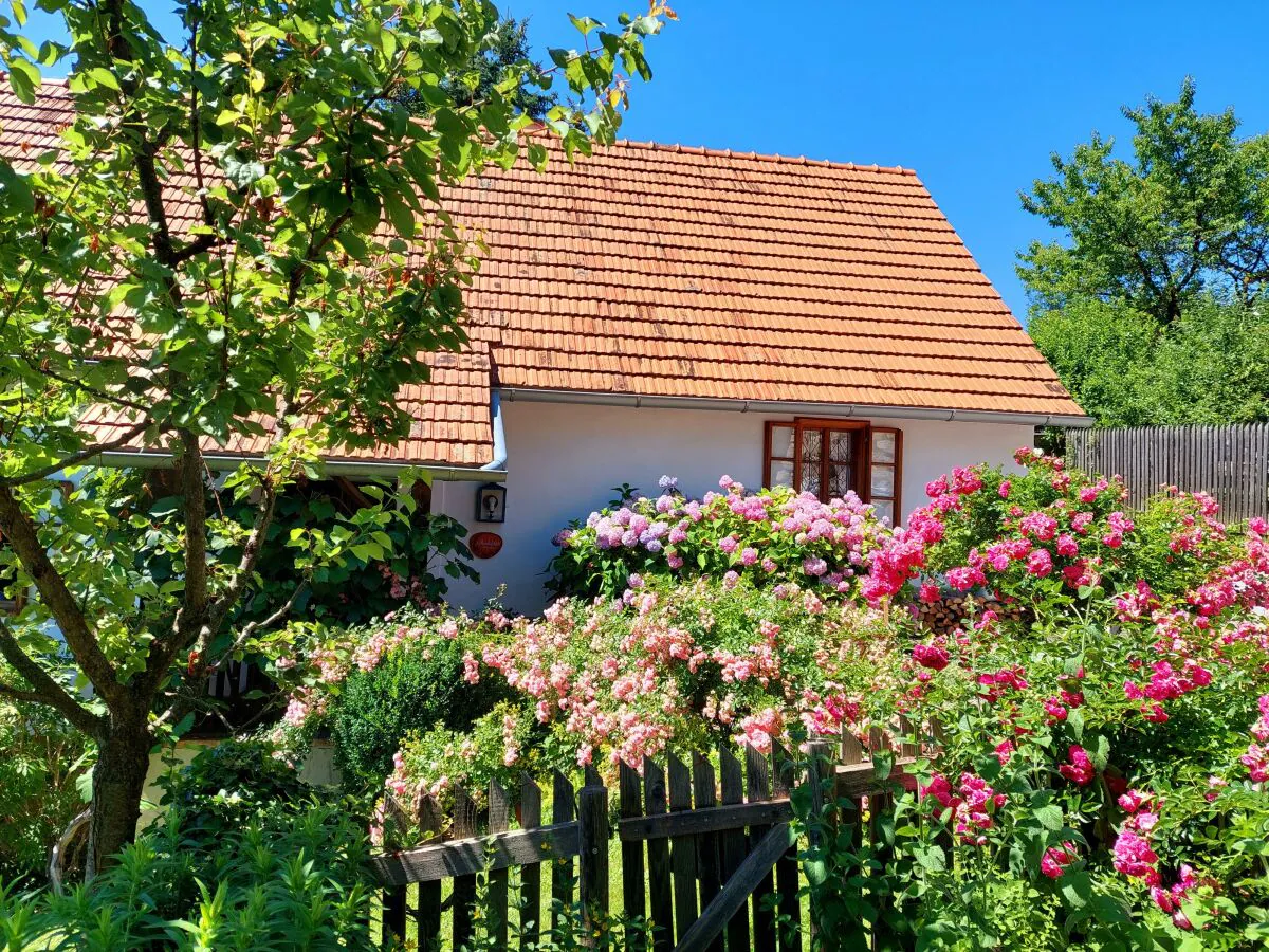 Apartment Das Moarhofstöckl | Landromantik-Kellerstöckl - Outdoor photo 4