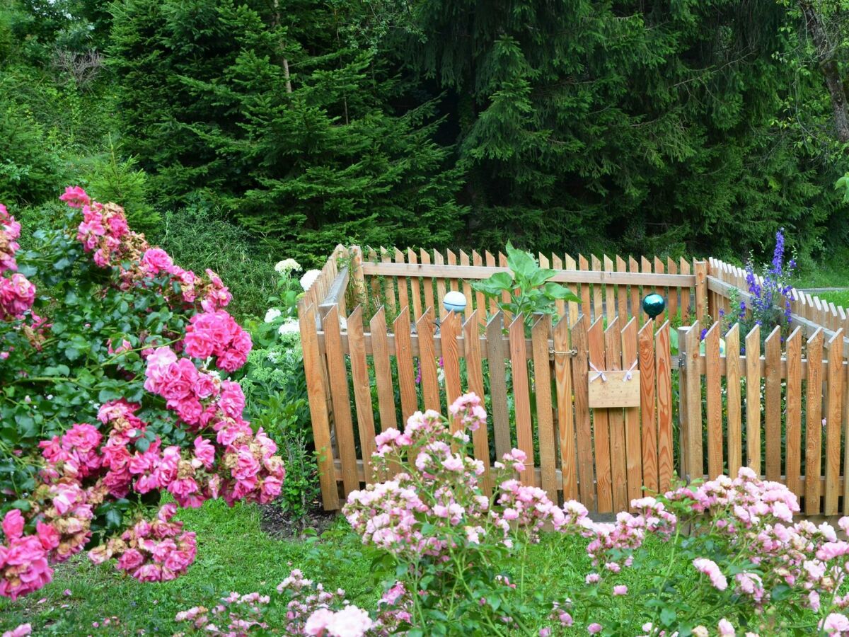 Apartment Das Moarhofstöckl | Landromantik-Kellerstöckl - Outdoor photo 5