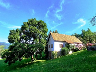 Apartment Das Moarhofstöckl | Landromantik-Kellerstöckl in Thannhausen - Apartment