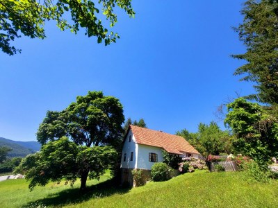 Apartment Das Moarhofstöckl | Landromantik-Kellerstöckl - Outdoor photo 2