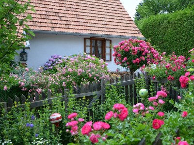 Apartment Das Moarhofstöckl | Landromantik-Kellerstöckl - Outdoor photo 7