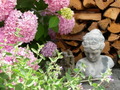 Apartment Das Moarhofstöckl | Landromantik-Kellerstöckl - Outdoor photo 8