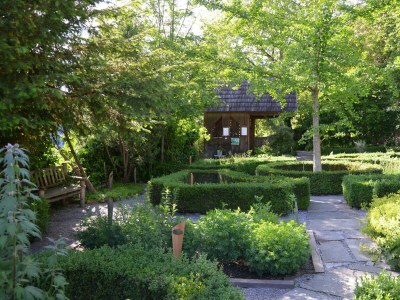 Apartment Das Moarhofstöckl | Landromantik-Kellerstöckl - Outdoor photo 12