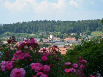 Apartment Das Moarhofstöckl | Landromantik-Kellerstöckl - Outdoor photo 13