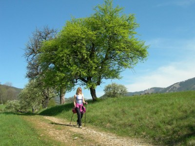 Apartment Das Moarhofstöckl | Landromantik-Kellerstöckl - Outdoor photo 14