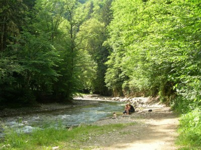 Apartment Das Moarhofstöckl | Landromantik-Kellerstöckl - Outdoor photo 16
