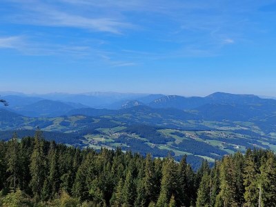Apartment Das Moarhofstöckl | Landromantik-Kellerstöckl - Outdoor photo 25