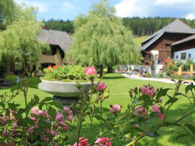 Apartment Ferienwohnung Baumwurzel (ab 3 Nächte) - Outdoor photo 4