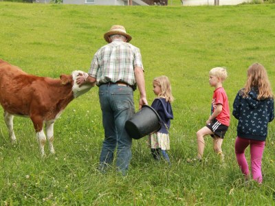 Apartment Ferienwohnung Baumwurzel (ab 3 Nächte) - Outdoor photo 7