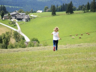 Apartment Ferienwohnung Baumwurzel (ab 3 Nächte) - Outdoor photo 8