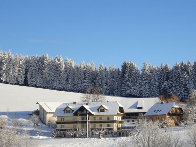 Apartment Ferienwohnung Baumwurzel (ab 3 Nächte) - Outdoor photo 9