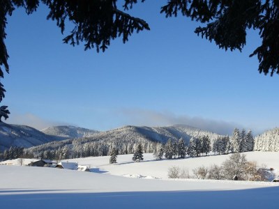 Apartment Ferienwohnung Baumwurzel (ab 3 Nächte) - Outdoor photo 10