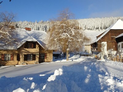 Apartment Ferienwohnung Baumwurzel (ab 3 Nächte) - Outdoor photo 11
