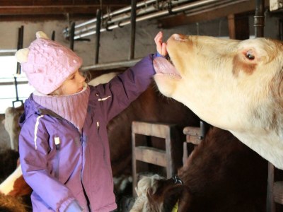 Apartment Ferienwohnung Baumwurzel (ab 3 Nächte) - Outdoor photo 12