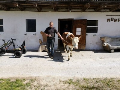 Apartment Ferienwohnung Baumwurzel (ab 3 Nächte) - Outdoor photo 13
