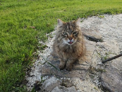 Apartment Ferienwohnung Baumwurzel (ab 3 Nächte) - Outdoor photo 14