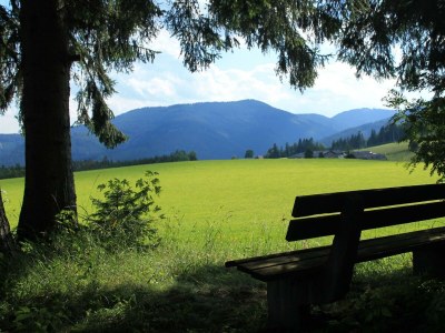 Apartment Ferienwohnung Baumwurzel (ab 3 Nächte) - Outdoor photo 18