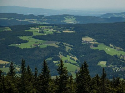 Apartment Ferienwohnung Baumwurzel (ab 3 Nächte) - Outdoor photo 19