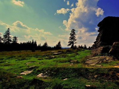 Apartment Ferienwohnung Baumwurzel (ab 3 Nächte) - Outdoor photo 21