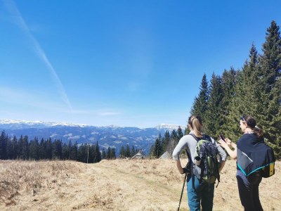 Apartment Ferienwohnung Baumwurzel (ab 3 Nächte) - Outdoor photo 22