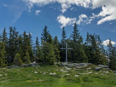 Apartment Ferienwohnung Baumwurzel (ab 3 Nächte) - Outdoor photo 23