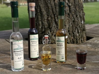 Apartment Ferienwohnung Baumwurzel (ab 3 Nächte) - Outdoor photo 24