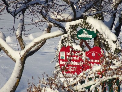 Apartment Ferienwohnung Baumwurzel (ab 3 Nächte) - Outdoor photo 25