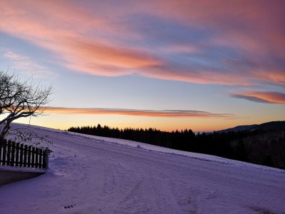 Apartment Ferienwohnung Baumwurzel (ab 3 Nächte) - Outdoor photo 28