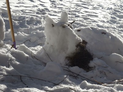 Apartment Ferienwohnung Baumwurzel (ab 3 Nächte) - Outdoor photo 29