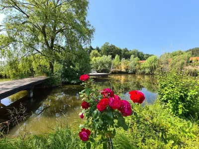 Apartment Haus am See - Outdoor photo 18