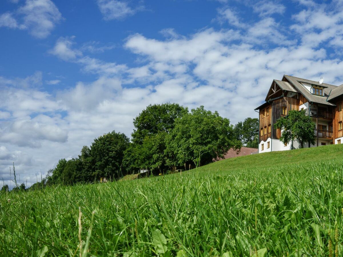 Apartment Mondwohnung (1-2 Nächte ohne Verpflegung)