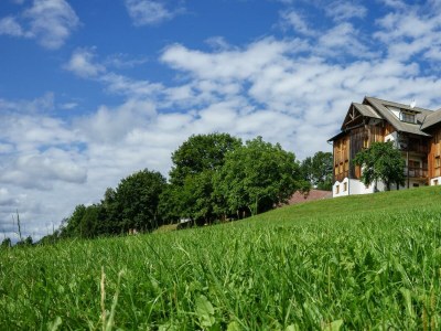 Apartment Mondwohnung (1-2 Nächte ohne Verpflegung) in Miesenbach - Apartment