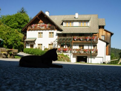 Apartment Mondwohnung (1-2 Nächte ohne Verpflegung) - Outdoor photo 3