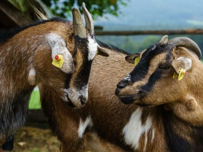Apartment Mondwohnung (1-2 Nächte ohne Verpflegung) - Outdoor photo 10