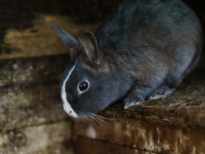 Apartment Mondwohnung (1-2 Nächte ohne Verpflegung) - Outdoor photo 12