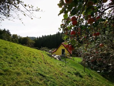 Apartment Bauernhaus "Landlust", 2 Bäder, WC, 3 Schlafräume - Outdoor photo 7