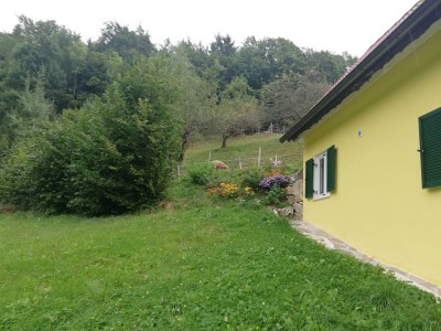 Apartment Bauernhaus "Landlust", 2 Bäder, WC, 3 Schlafräume - Outdoor photo 13