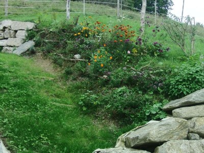 Apartment Bauernhaus "Landlust", 2 Bäder, WC, 3 Schlafräume - Outdoor photo 44