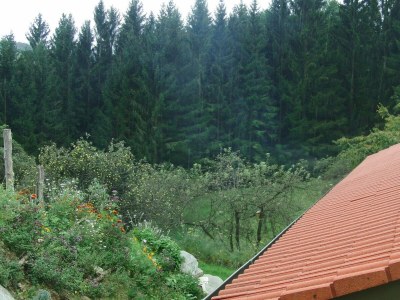 Apartment Bauernhaus "Landlust", 2 Bäder, WC, 3 Schlafräume - Outdoor photo 46