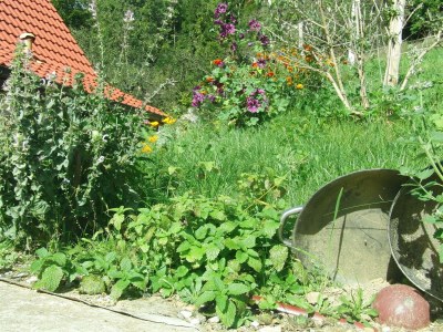 Apartment Bauernhaus "Landlust", 2 Bäder, WC, 3 Schlafräume - Outdoor photo 49