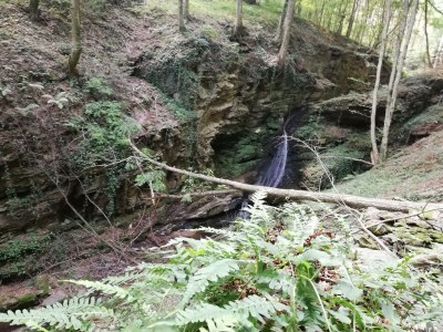 Apartment Bauernhaus "Landlust", 2 Bäder, WC, 3 Schlafräume - Outdoor photo 63