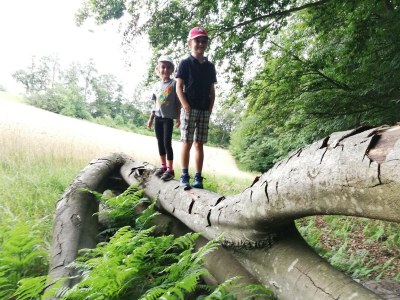 Apartment Bauernhaus "Landlust", 2 Bäder, WC, 3 Schlafräume - Outdoor photo 66